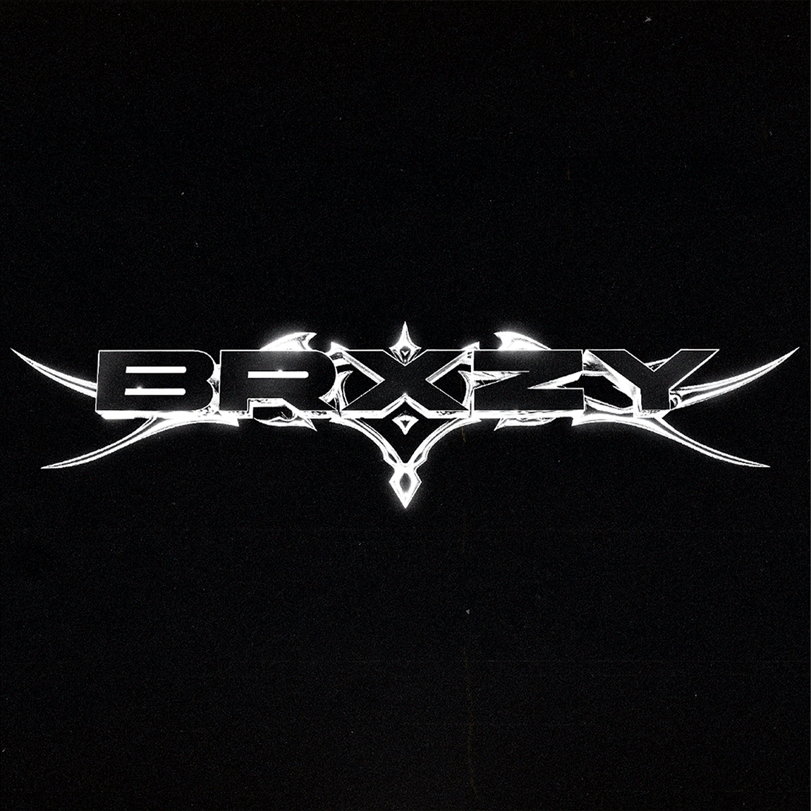 Stylized BRXZY logo in metallic letters on a black background for the BRXZY Drum Kit.
